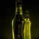 SKOL